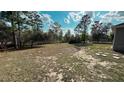 Expansive backyard with mature trees offers a serene outdoor space for recreation and relaxation at 13066 Painted Bunting Ave, Weeki Wachee, FL 34614