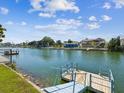 Dock featuring a walkway with views of the canal and nearby waterfront homes at 3215 Hibiscus Dr, Hernando Beach, FL 34607