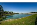 Scenic view of a beautiful pond, complete with clear water and lush green surroundings at 36419 Flats St, Zephyrhills, FL 33541