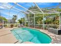 Private screened-in pool with ample space for lounging and mature landscaping around the perimeter at 1905 Firefern Ct, Trinity, FL 34655