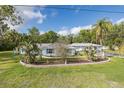 Expansive front yard featuring lush landscaping, mature palm trees, and a well-maintained lawn surrounding the house at 4573 Ontario Dr, New Port Richey, FL 34652