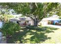 Charming single story home featuring a mature shade tree, green grass, and a two car garage at 1540 Lime St, Clearwater, FL 33756
