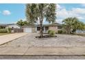 Home exterior featuring a well-kept gravel yard, palm trees, and solar panels at 7341 Bimini Dr, Port Richey, FL 34668