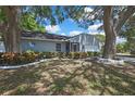 Well-maintained home boasts lovely landscaping and mature trees, providing shade and beauty at 279 Maple Ave, Palm Harbor, FL 34684