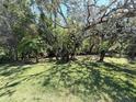 Lush backyard featuring a mix of mature trees, shrubs, and manicured lawn at 4748 Yellowstone Dr, New Port Richey, FL 34655