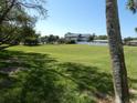 Spacious backyard with well maintained green grass and mature trees at 545 Walden Ct, Dunedin, FL 34698