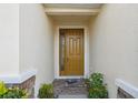 Close-up of the front door featuring sidelight window and welcoming brick pathway at 11254 Mollymawk Ct, New Port Richey, FL 34654
