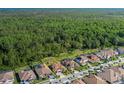Aerial view of a homesite backing to a lush green preserve at 5070 Night Star Trl, Odessa, FL 33556