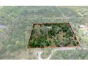 Aerial view of a secluded home nestled among lush trees, providing privacy and a connection with nature at 3355 La Vista St, Brooksville, FL 34604