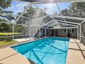 Sparkling blue pool enclosed with a screened lanai and backyard views at 196 Lark Ave, Brooksville, FL 34601