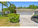 Inviting single-Gathering home with lush landscaping, a well-manicured lawn, and a convenient two-car garage at 1119 Dustan Pl, Trinity, FL 34655