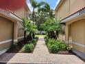 Inviting brick-paved walkway between buildings, adorned with lush landscaping and palm trees, enhancing the community's appeal at 21008 Sunpoint Way # 204, Lutz, FL 33558