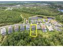 An aerial view of the property highlighting its location near a lake, trees, and neighborhood amenities at 12539 Wetmore Ct, Odessa, FL 33556
