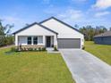 Charming single-story home showcases a modern exterior, a well-manicured lawn, and an attached two-car garage at 14042 Amero Ln, Spring Hill, FL 34609