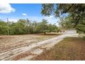 Long driveway leading to a house surrounded by mature trees and open spaces at 14740 Loma Ave, Spring Hill, FL 34610
