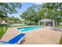 Community pool area featuring lounge chairs and an adjacent sheltered picnic area, surrounded by trees at 1486 Loman Ct, Palm Harbor, FL 34683