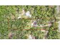 Aerial view showing the property lines, surrounded by a lush landscape of trees with a pool in the distance at 5113 Cedar Ln, Brooksville, FL 34601