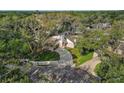 An aerial view of the charming home with mature shade trees, a long driveway, and a well-manicured lawn at 10910 Winter Oak Pl, Tampa, FL 33618