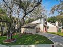 Beautiful two-story home featuring a unique architectural design, well-manicured lawn, a red front door, and mature shade trees at 10910 Winter Oak Pl, Tampa, FL 33618