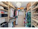 Spacious walk-in closet with custom shelving, drawers, and ample hanging space at 4939 Floramar Ter # 902, New Port Richey, FL 34652