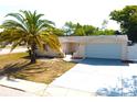 Charming single-story home featuring a well-maintained lawn and a picturesque palm tree in the front yard at 9200 Lunar Ln, Port Richey, FL 34668