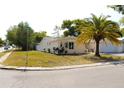 Charming single-story home featuring a well-maintained lawn and a picturesque palm tree in the front yard at 9200 Lunar Ln, Port Richey, FL 34668