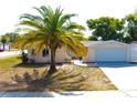 Charming single-story home featuring a well-maintained lawn and a picturesque palm tree in the front yard at 9200 Lunar Ln, Port Richey, FL 34668