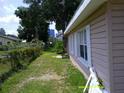 The side yard features a grassy lawn, chain link fence and mature trees at 7419 E Comanche Ave, Tampa, FL 33610