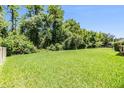 Spacious backyard with lush green grass and mature trees, perfect for outdoor activities at 1418 Halapa Way, Trinity, FL 34655