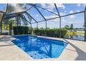 Sparkling screened-in pool with clear blue water and a lush green backdrop at 22431 Willow Lakes Dr, Lutz, FL 33549