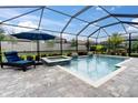 Screened-in pool area featuring a private pool, jacuzzi and lounge chair with a backyard view at 5001 Night Star Trl, Odessa, FL 33556