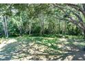 Sprawling backyard featuring lush greenery and mature trees, creating a private and serene outdoor space at 6454 Summerfield Loop, Trinity, FL 34655