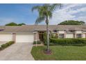 Charming one story home featuring a double door entrance, a brick facade, landscaping and a palm tree at 1105 Flora Vista St, New Port Richey, FL 34655