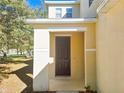 Inviting entryway features a covered porch with a classic, dark wood front door at 19551 Timberbluff Dr, Land O Lakes, FL 34638