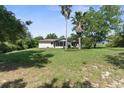 Expansive backyard with lush lawn and mature trees, offering privacy and ample space for outdoor activities at 2443 Glenridge Dr, Spring Hill, FL 34609