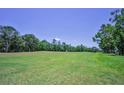 Expansive green golf course with mature trees, providing a serene and picturesque backdrop at 4485 Gevalia Dr, Brooksville, FL 34604