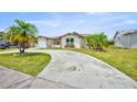 Charming single-story home featuring tropical landscaping and a concrete driveway at 6231 Westport Dr, Port Richey, FL 34668