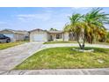 Cozy home featuring a well-maintained front lawn and tropical palm trees, perfect for curb appeal at 6231 Westport Dr, Port Richey, FL 34668