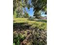 Large backyard with mature trees and ample space for outdoor activities at 8711 Jolly Roger Dr, Hudson, FL 34667