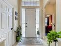 Bright foyer with tile flooring, decorative rug, and views into the bedroom and hall at 10181 Holly Berry Dr, Weeki Wachee, FL 34613