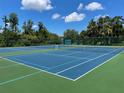 Outdoor tennis courts with green and blue surface offer a great space for active community members at 11619 Boynton Ln, New Port Richey, FL 34654