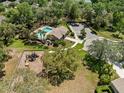 Aerial view of community pool and playground surrounded by lush greenery and mature trees at 12055 Colony Lakes Blvd, New Port Richey, FL 34654