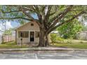 Inviting bungalow with covered porch, shaded by a large tree, creating a cozy atmosphere at 6207 Main St, New Port Richey, FL 34653