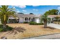 Landscaped front yard with palm trees, shrubbery, and decorative rock at 7736 Gaston Dr, Port Richey, FL 34668