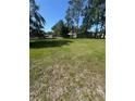 Large grassy yard dotted with mature trees and lush green grass, offering a serene setting at 410 Houle Ave, Sarasota, FL 34232
