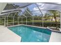 A screened-in pool offers a refreshing escape with lush landscaping and a beautiful sky above at 8228 Coral Creek Loop, Hudson, FL 34667