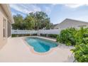 Backyard swimming pool with a well-kept white fence and beautiful green landscaping at 8526 Hawbuck St, Trinity, FL 34655