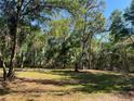 Spacious backyard, providing ample space for outdoor activities at 15548 Rockingham Ln, Spring Hill, FL 34610