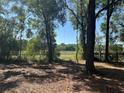 Fenced-in backyard and natural views, offering a secure and peaceful retreat at 15548 Rockingham Ln, Spring Hill, FL 34610