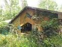 Unique home exterior with whimsical fish décor, blending into the natural surroundings at 7323 Ray Browning Rd, Brooksville, FL 34601